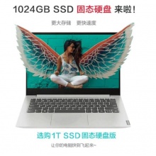 联想（Lenovo）小新 14英寸学生商务办公 2019款 轻薄笔记本电脑 i5-8265U 8G 1T SSD MX230灰 小新 